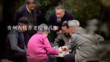贵州六枝养老院有几家,北京顺义有哪些养老院？