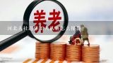 河北人社退休工人认证怎么操作？河北人社app能查退休金明细吗