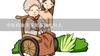 中医药康养发展基础是什么