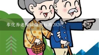 奉化养老保险缴费标准2020？