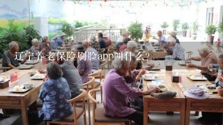 辽宁养老保险刷脸app叫什么?