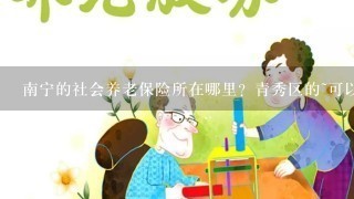 南宁的社会养老保险所在哪里？青秀区的~可以带身份证去打印养老清单么？