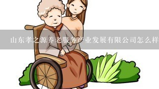 山东孝之源养老服务产业发展有限公司怎么样？