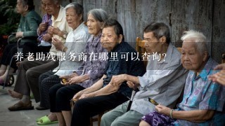 养老助残服务商在哪里可以查询？