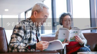 少子老龄化是什么意思