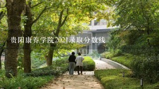 贵阳康养学院2021录取分数线