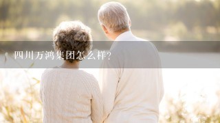 四川万鸿集团怎么样？