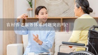 农村养老服务体系问题突出吗？