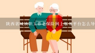 陕西省城镇职工养老保险网上服务平台怎么导出个人缴