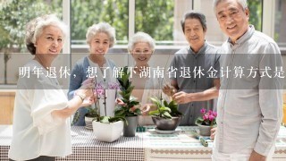明年退休，想了解下湖南省退休金计算方式是怎么算的？
