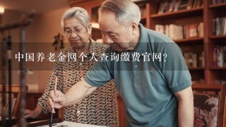 中国养老金网个人查询缴费官网？