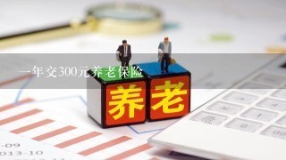 一年交300元养老保险