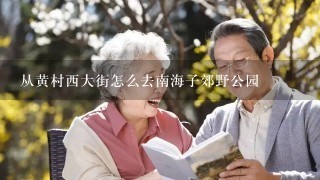 从黄村西大街怎么去南海子郊野公园