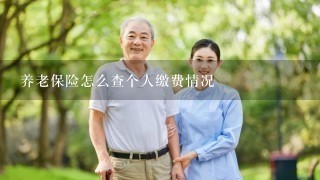 养老保险怎么查个人缴费情况