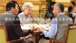 肥西花岗的失地养老保险一个人要交多少钱