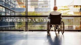 沈阳养老保险个人账户查询