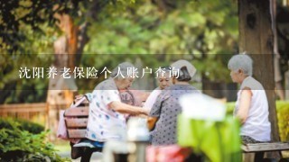 沈阳养老保险个人账户查询