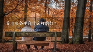 养老服务平台什么样的好？