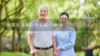 沈阳养老保险个人账户查询