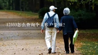 12333怎么查询个人账户余额？