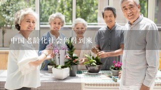 中国老龄化社会何时到来