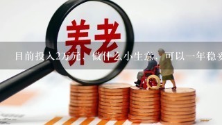 目前投入2万元，做什么小生意，可以一年稳妥收入10