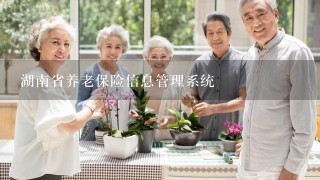 湖南省养老保险信息管理系统