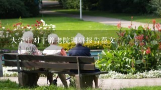 大学生对于养老院调研报告范文