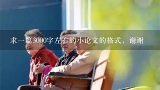 求一篇3000字左右的小论文的格式，谢谢