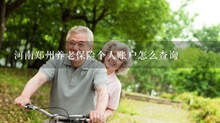 河南郑州养老保险个人账户怎么查询