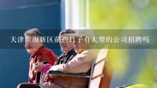 天津滨海新区前些日子有大型的公司招聘吗