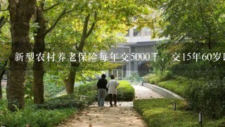 新型农村养老保险每年交5000千，交15年60岁以后每月可以领多少钱？