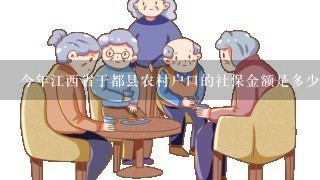 今年江西省于都县农村户口的社保金额是多少?就是今年的养老保险要交