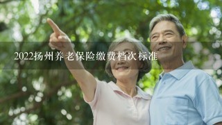 2022扬州养老保险缴费档次标准