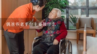 偶爸养老平台主要做什么