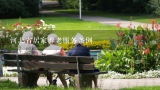河北省居家养老服务条例