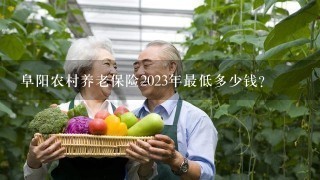 阜阳农村养老保险2023年最低多少钱？