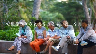 安徽芜湖70岁老人养老金多少钱一个月
