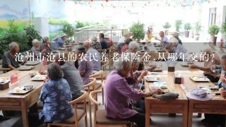 沧州市沧县的农民养老保险金,从哪年交的？