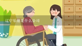 辽宁乐德是什么公司