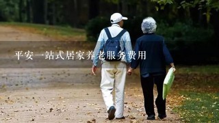 平安1站式居家养老服务费用