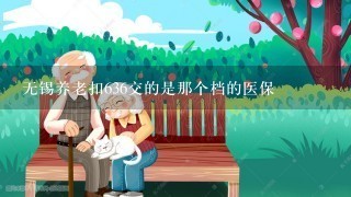 无锡养老扣636交的是那个档的医保