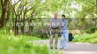 辽宁省养老保险跨省转移资金