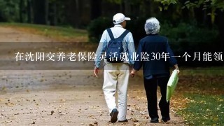 在沈阳交养老保险灵活就业险30年1个月能领多少钱