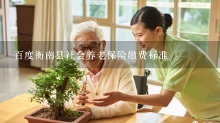 百度衡南县社会养老保险缴费标准