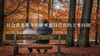 社会养老服务的体系建设存在的主要问题