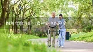 4川省峨眉山市农村养老保险金