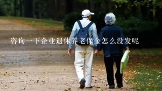 咨询1下企业退休养老保金怎么没发呢