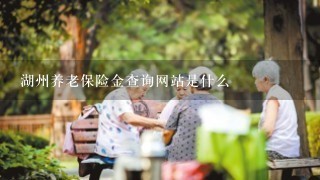 湖州养老保险金查询网站是什么