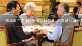 深圳市养老保险缴费基数是多少?缴费后如何查询